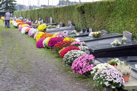 (vergroot foto)