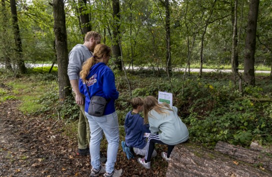 (vergroot foto)
