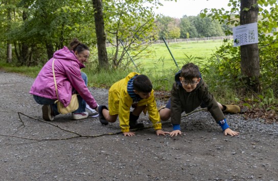 (vergroot foto)